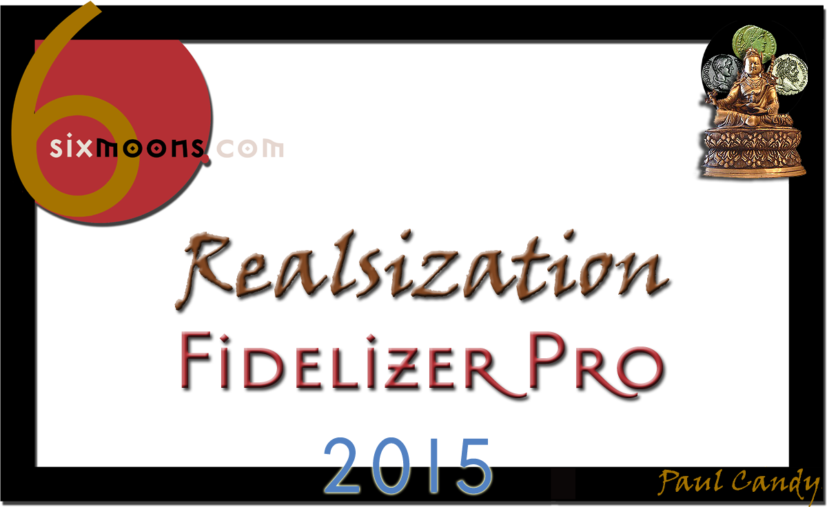 6moons Realsization 2015 Award for Fidelizer Pro
